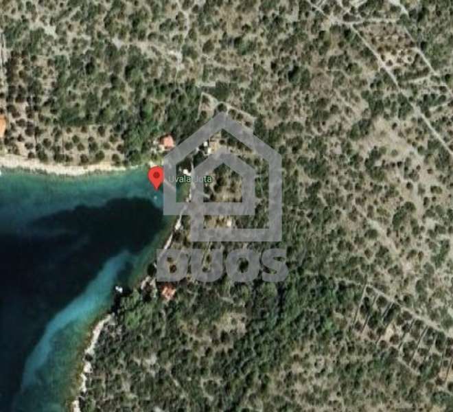 island Žižanj - landscaped olive grove with access to the sea - 1139m2