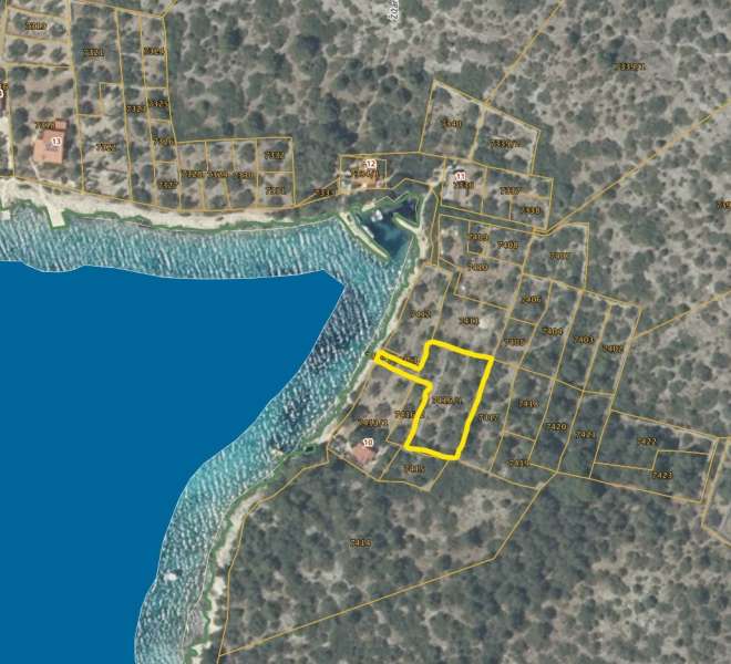 Insel Žižanj – angelegter Olivenhain mit Zugang zum Meer – 1139 m2